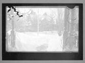Blizzard 1888 Albany NY