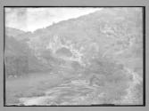 In Dovedale