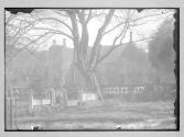 View From Churchyard Hatfield