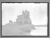 Whitby Abbey & Pool