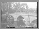 Clare Bridge Cambridge