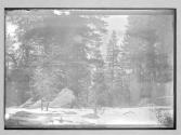 No 97 Barnes Road to Yosemite 2 prints