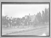 No 70 Salt Lake City & Tree/Catharine Weed Barnes/one
