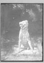Statue of Dog Blickling