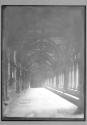 Westminster W. Cloisters
