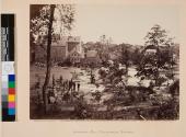Johnson's Mill, Petersburg, Virginia