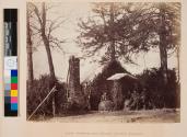 Camp Architecture, Brandy Station, Virginia
