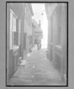 Whitby Tin Ghant