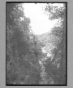 Bolton The Strid Warfe River