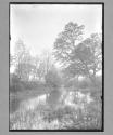Stream Near Chigwell
