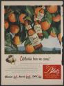 Califlorida, here we come! (Blatz Brewing Co., tear sheet)