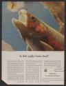 Is fish really brain food? (American Cyanamid Company, press proof)