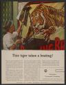 This tiger takes a beating! (American Cyanamid Company, press proof)