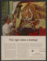 This tiger takes a beating! (American Cyanamid Company, press proof)
