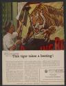 This tiger takes a beating! (American Cyanamid Company, tear sheet)
