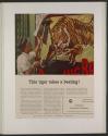 This tiger takes a beating! (American Cyanamid Company, press proof)