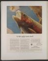 Is fish really brain food? (American Cyanamid Company, press proof)