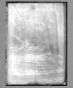 No 102 Road To Mirror Lake 3 Prints Catharine Weed Barnes