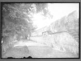 Salisbury Cathedral Wall In Bishops Garden