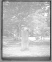 Rufus Stone New Forest