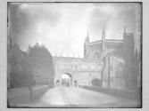 Covered Way Wells Cat(hedral)