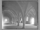 Cellarium Fountains