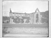 Tintern Abbey From Roadway