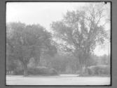 Entrance To Washington Park Albany