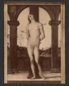 [Perugino's painting Saint Sebastian (ca. 1495)]
