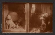 [Edwin Henry Landseer's paintings Low Life and High Life (1829)]