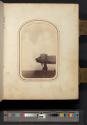 [Three spirits with photographic portrait]