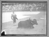 [Matador et taureau]
