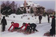 Sled Race