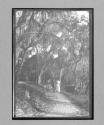 [three people in garden]