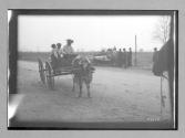 [ox pulling wagon with people]