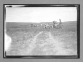 [auto tour, driving across grasslands]