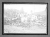 [horse wagon pulling auto]