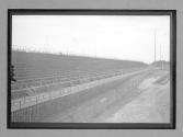 [empty racetrack stands]