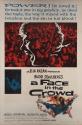 A Face in the Crowd