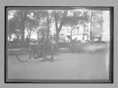 [bicycles in town]