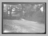 [auto racing "#8"]