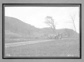 [Auto tour "Premier" on country road]