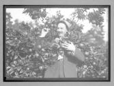 [portrait of man in garden]