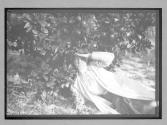 [portrait of woman in garden]
