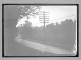 [country road]