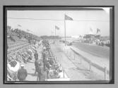 [racetrack grounds]