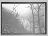 [view of river]