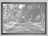 [auto driving down country road "The Acme"]
