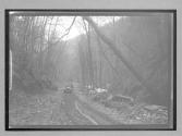 [auto on country road]