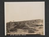 [Distant view of 155 mm Howitzer battery in position on firing range in the United Kingdom. 21st FA BN, 5th Inf Div., near Annalong, County Down, No. Ireland]